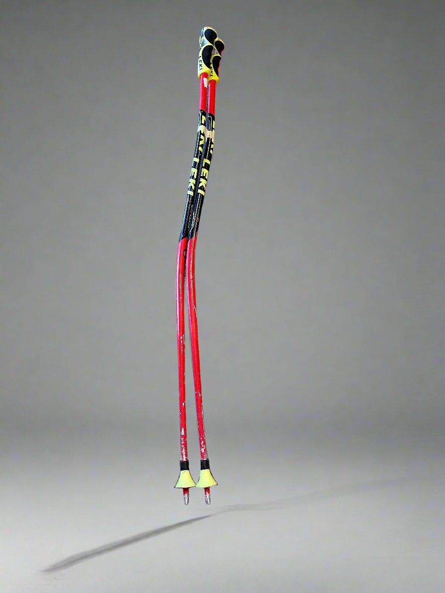 Leki WC RACE POLES 105