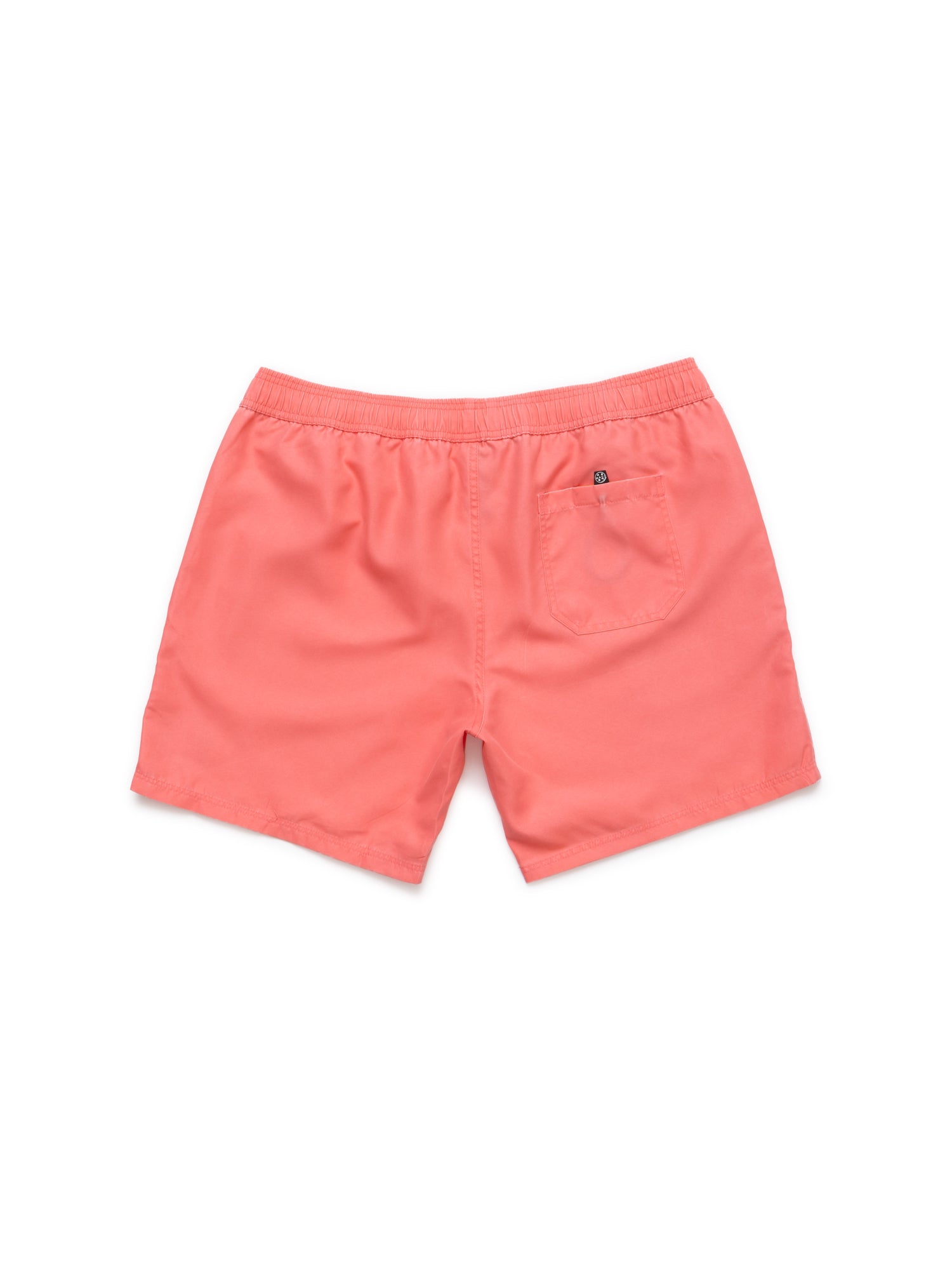 Party On Pool Shorts