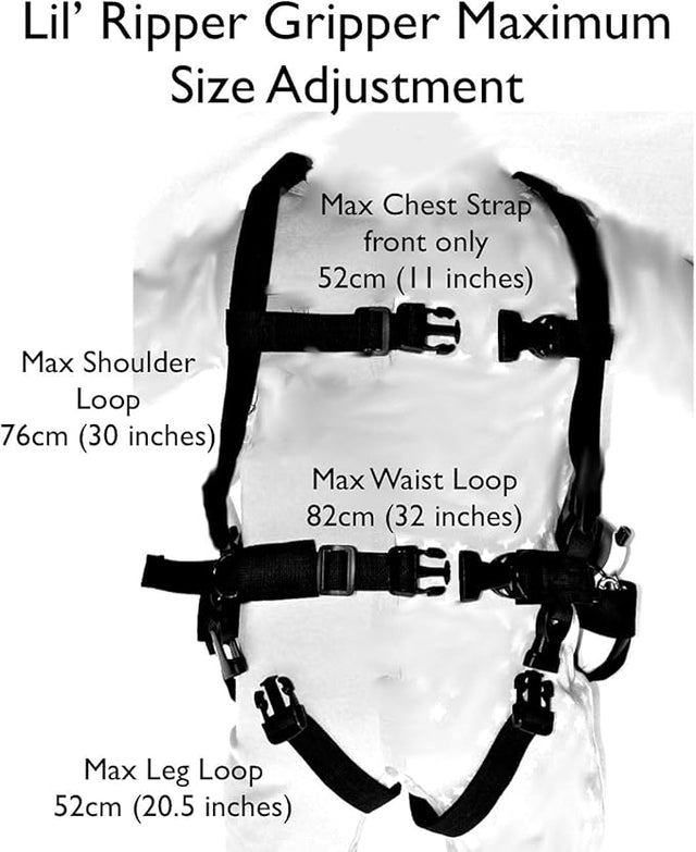 Ski Harness
