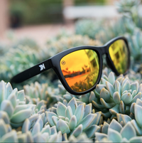 Premium Sunglasses Black/Sunset