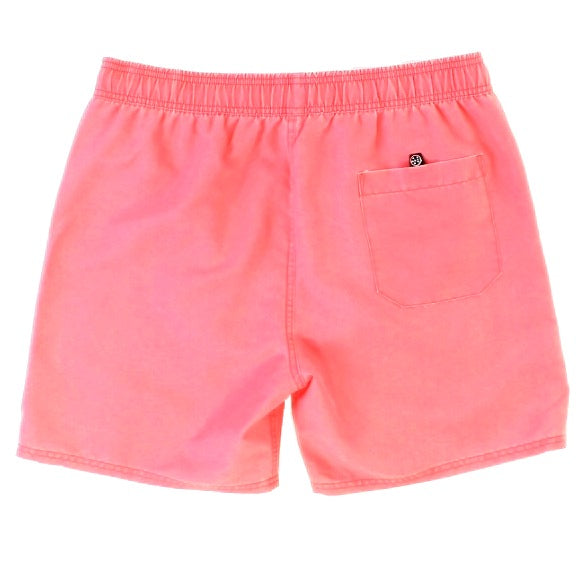 Party On Pool Shorts