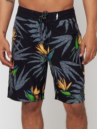 Paradise Check Board Shorts