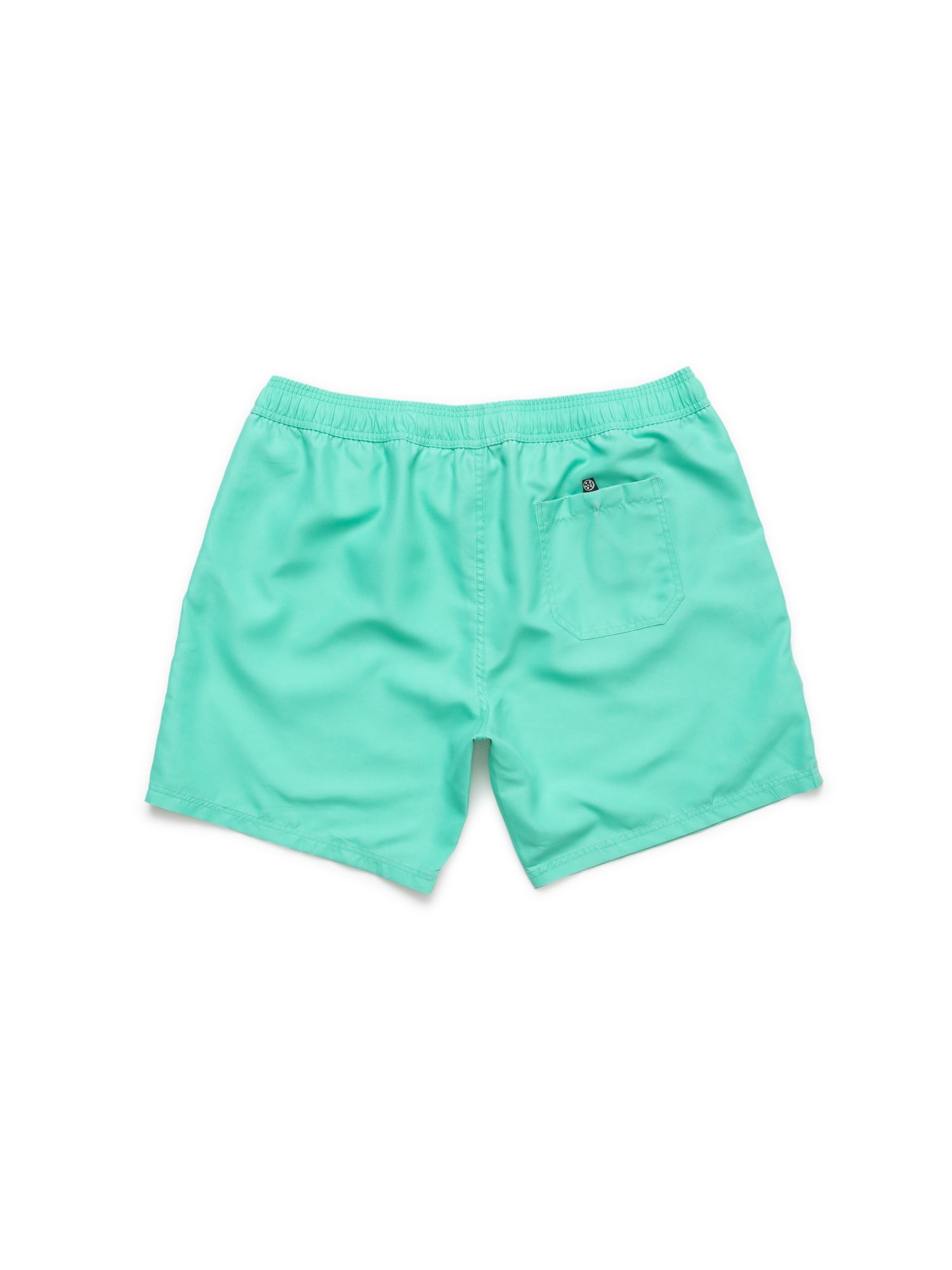Party On Pool Shorts